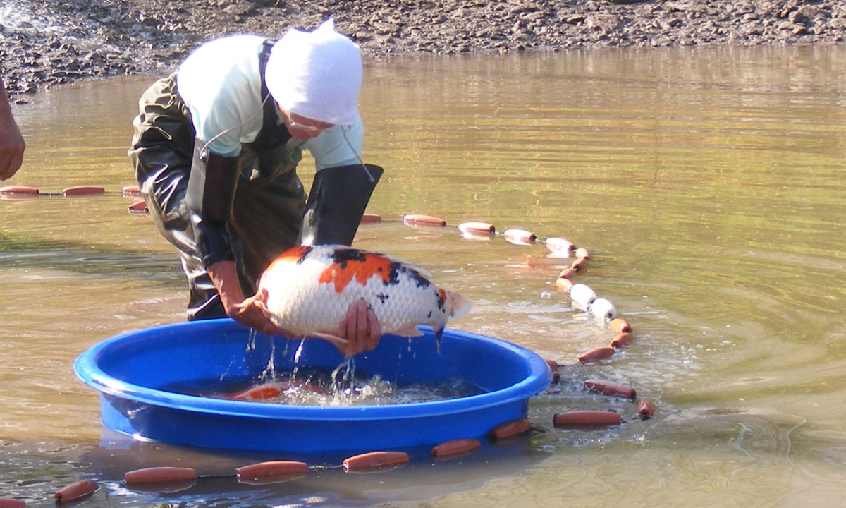 yamatoya mudpond