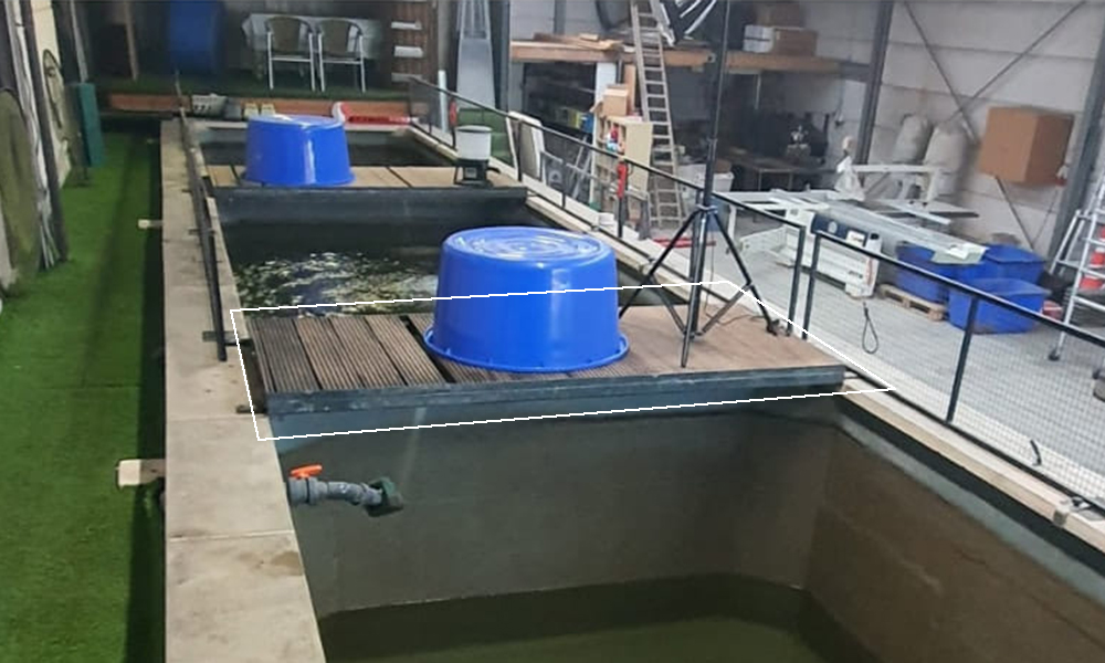 de platforms van interkoi