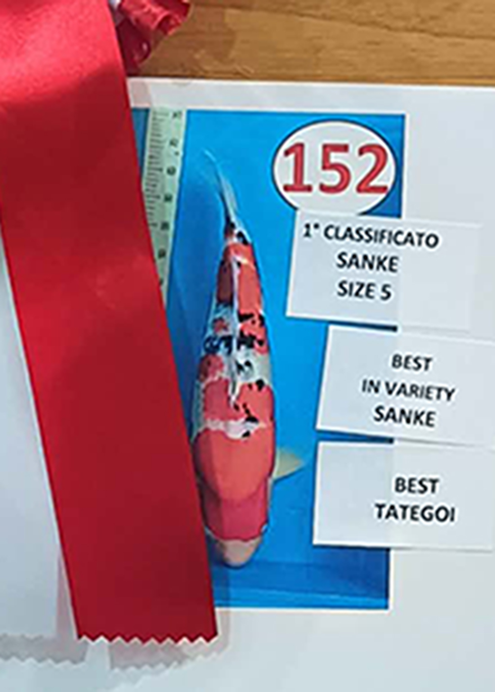 tategoi prijs