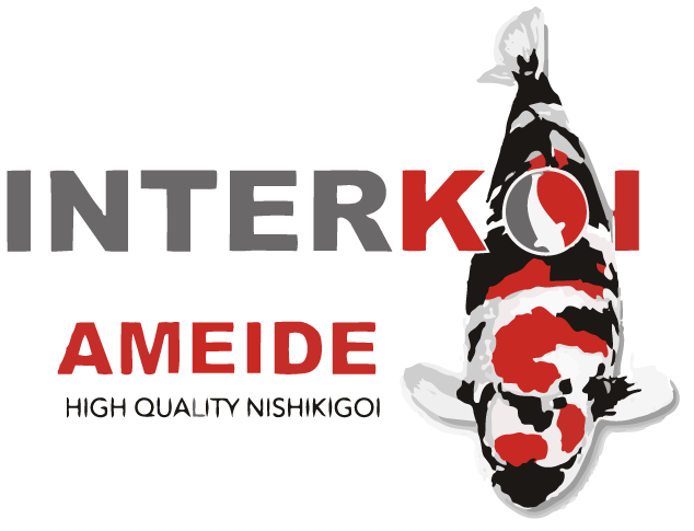 Interkoi