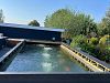 Geoogst uit mijn eigen concrete pond
