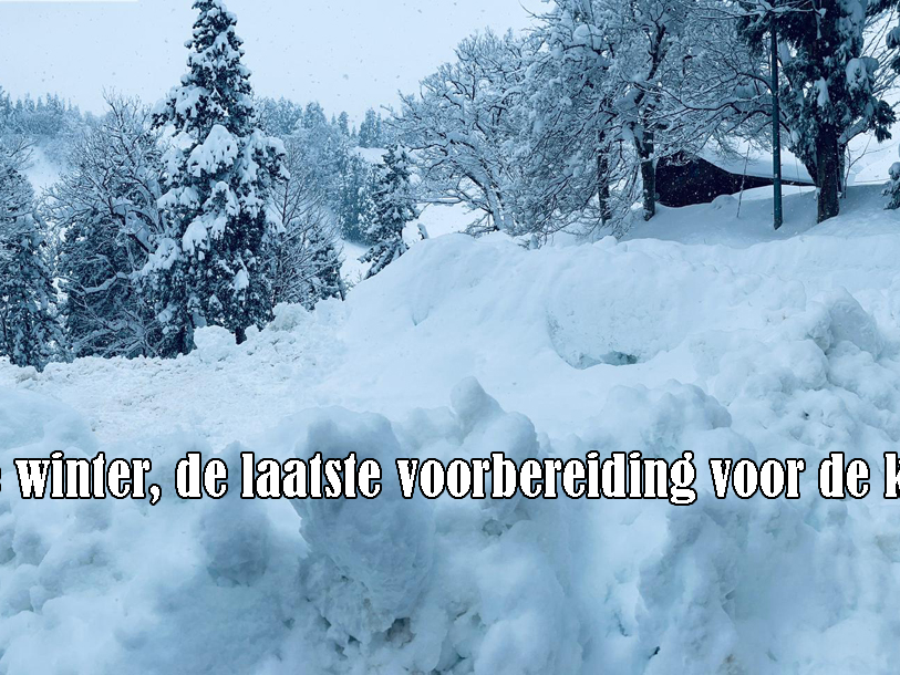 De winter, de laatste voorbereiding voor de koi