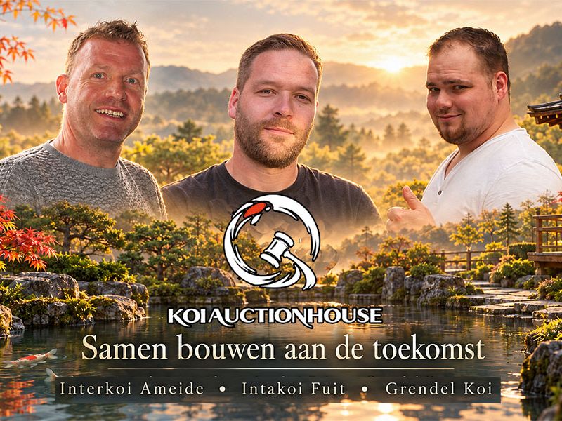 Een betere koi, waar zit het verschil?