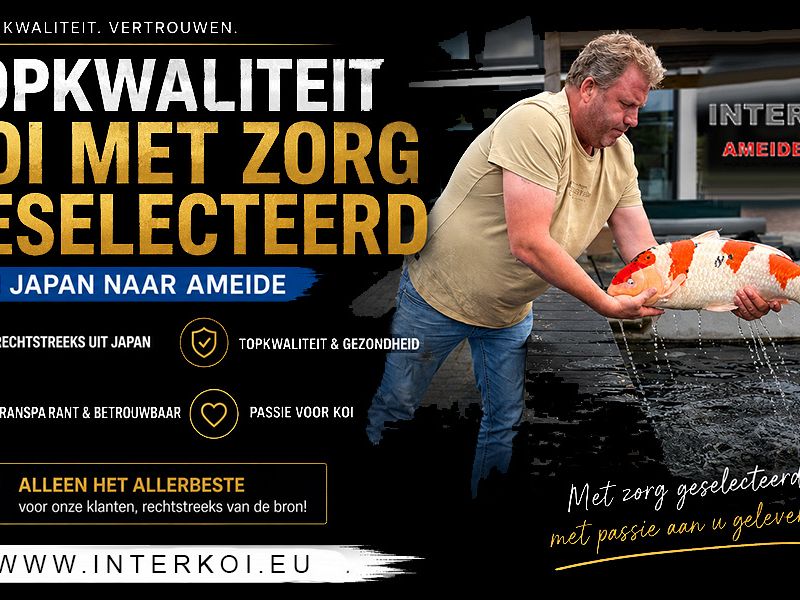 Wil je echt een topper voor de grote show