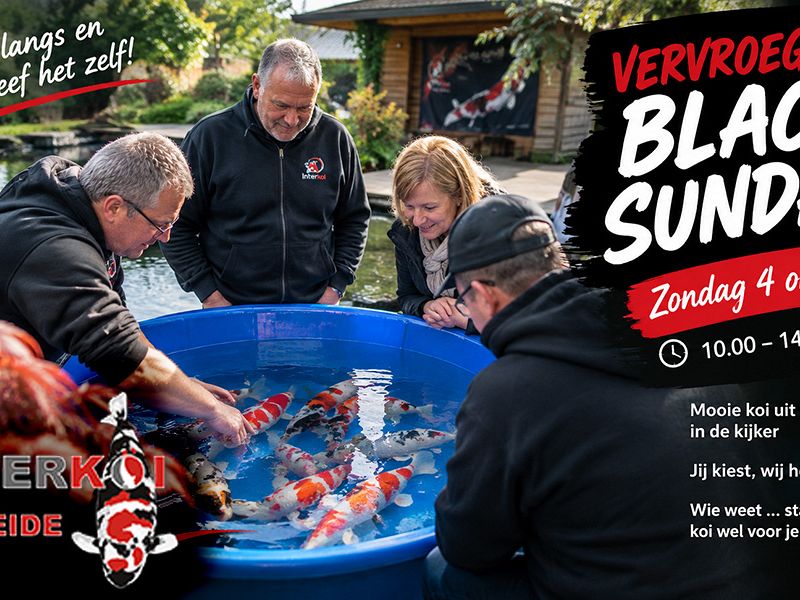 Zondag 4 oktober, onze vervroegde Black Sunday