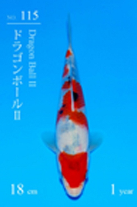 sanke SA-V23-01115