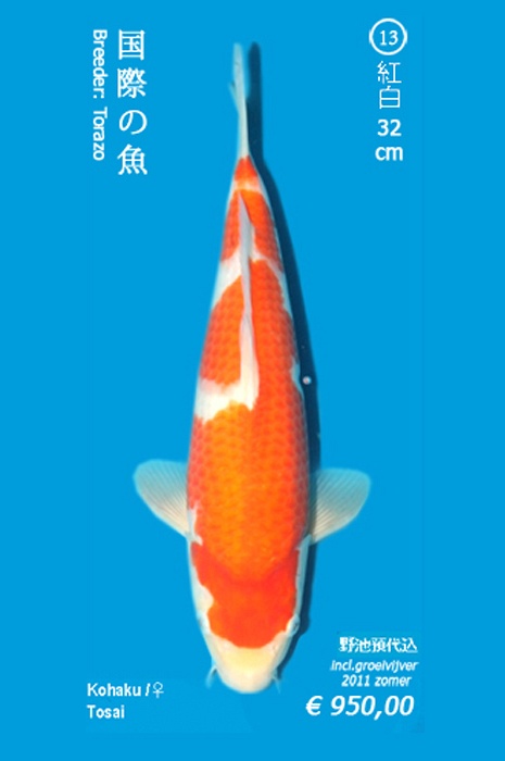kohaku 1104020