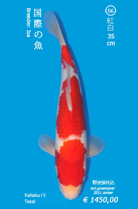 sandan kohaku 1104028