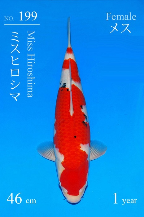 sanke SA-V21-3199