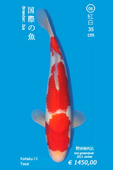 Sandan Kohaku 1104028