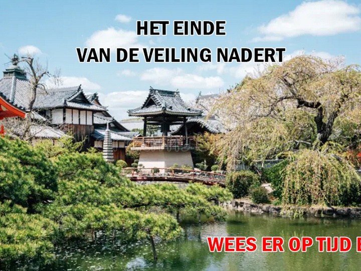 Aandacht voor het einde van de veiling