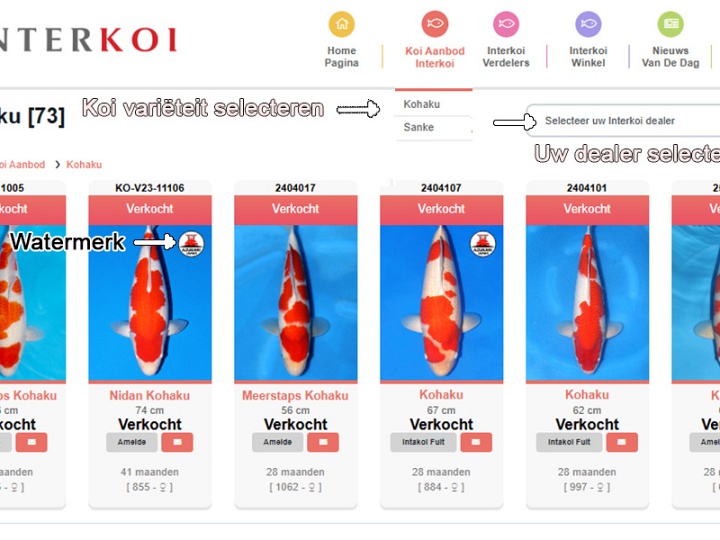 Aanpassingen website