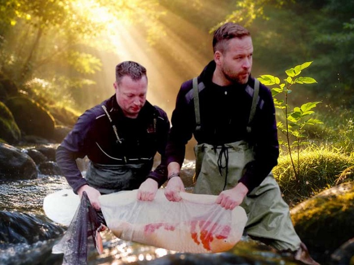 Belangrijkheid van UPdates