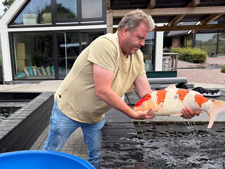 De bezige bij