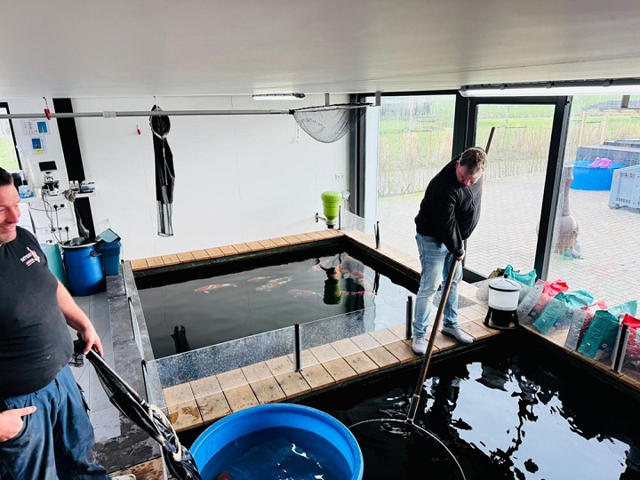 de eerste koi hebben Ameide verlaten