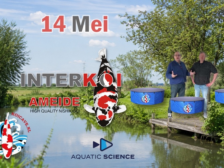 De focus op 14 mei