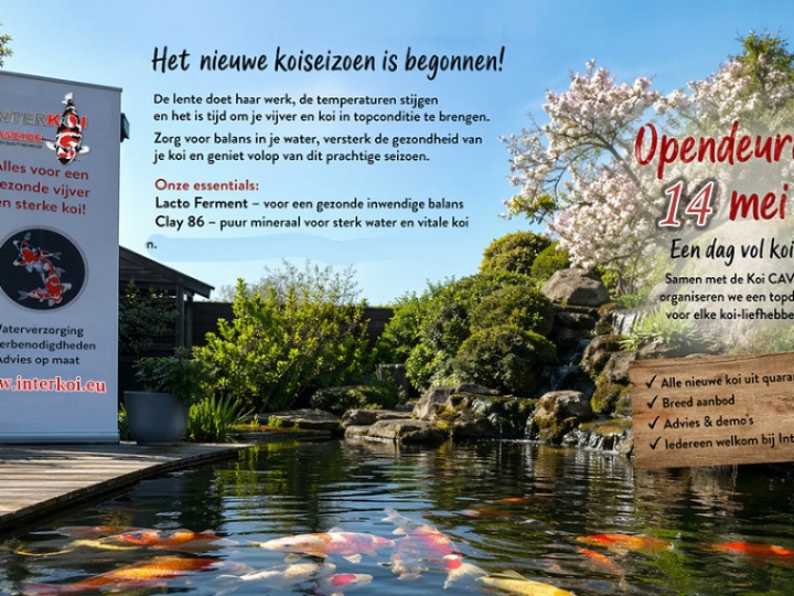 De KOICAVE Interkoi cup