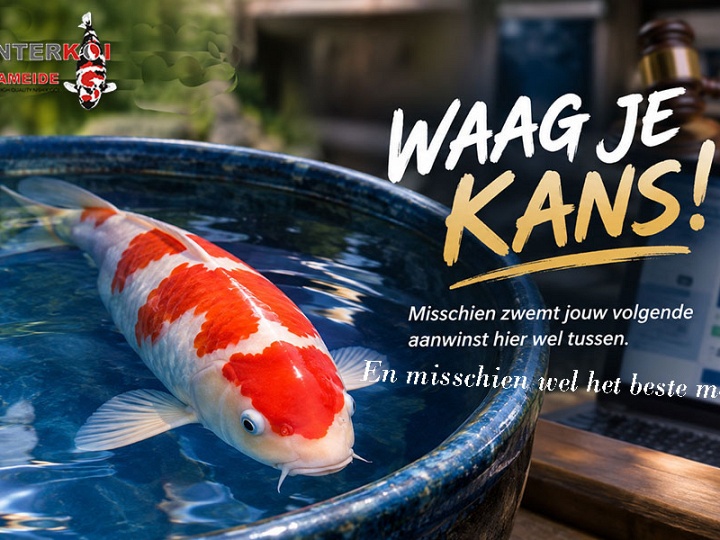 De laatste kans, en misschien wel het beste moment