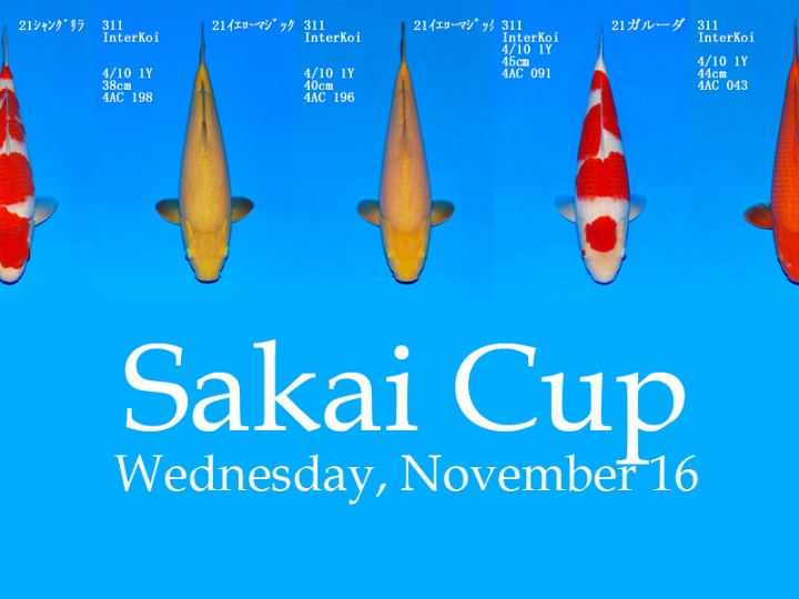 De Sakai Cup 