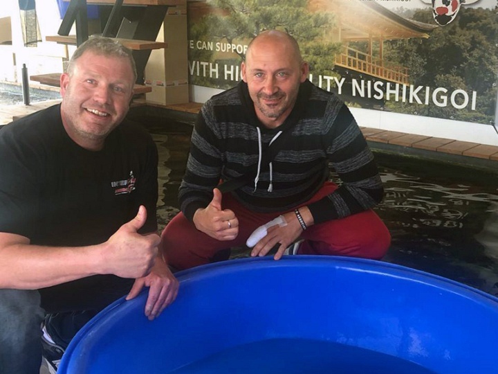 Diverse koi vonden dit weekend een nieuwe eigenaar