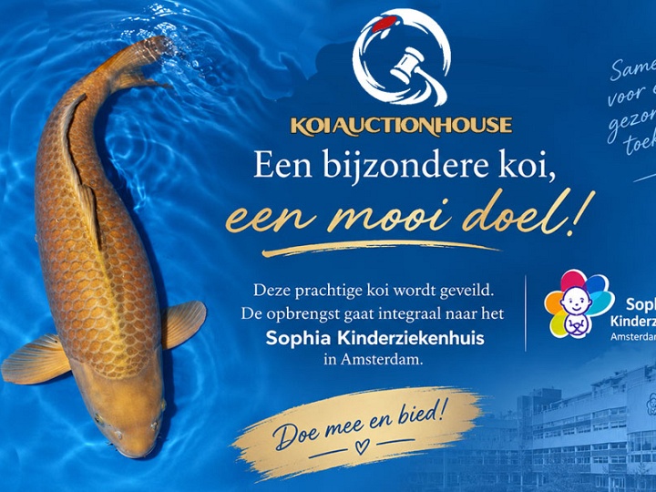 Een Chagoi met een verhaal