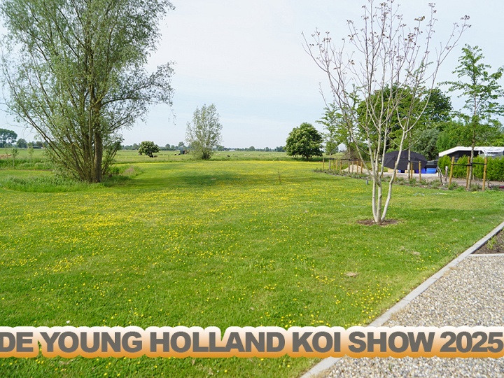 Een hartveroverende locatie