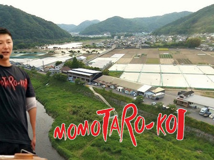 Evaluatie Momotaro veiling