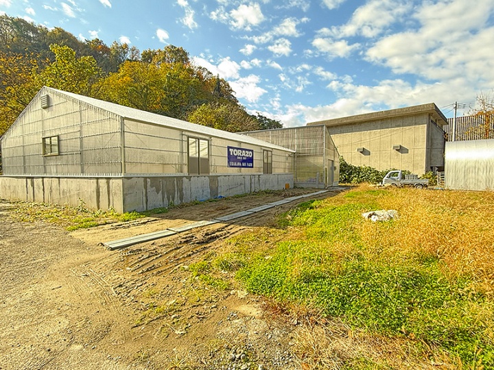 Japan dag 10, een dag van rust