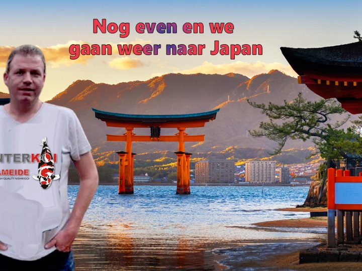 Nog even en we gaan weer naar Japan