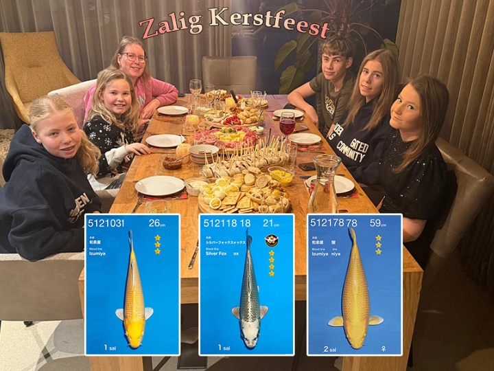 Ook 1ste Kerstdag met een veiling