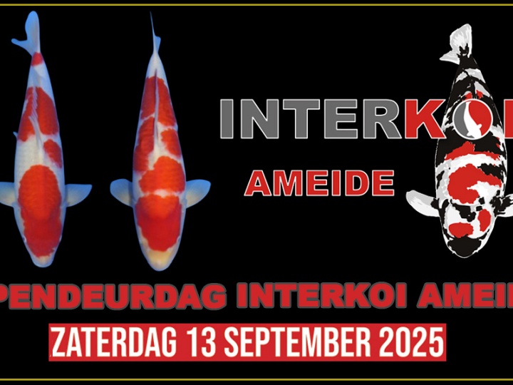 Ook deze kan je morgen bewonderen