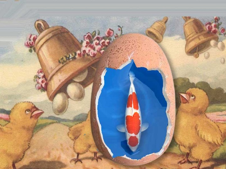 Pasen brengt een wonderlijk ei