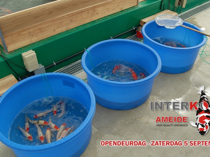 Presentatie bowls voor zaterdag 5 september