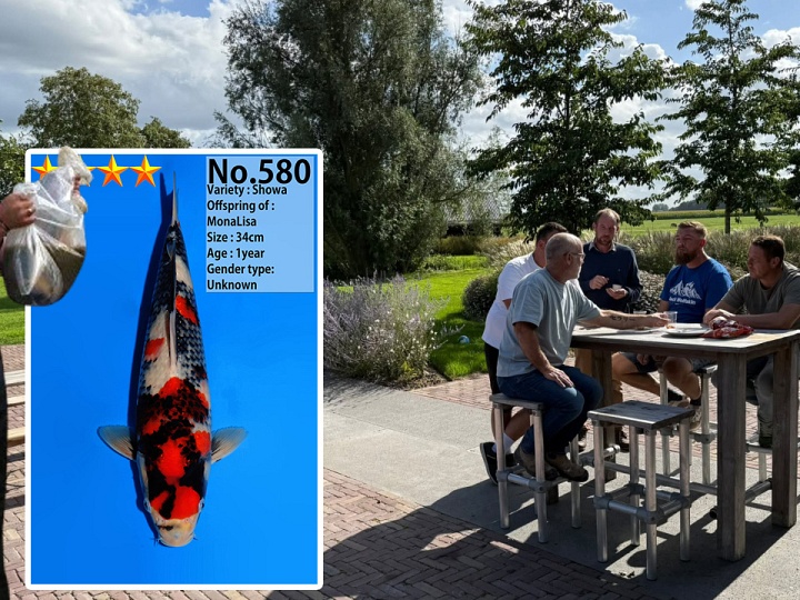 Van een speciale showa gesproken