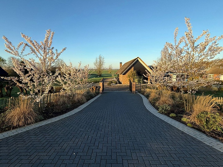 Veranderingen aan de website