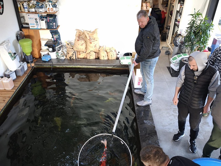 Wat een dag, de koibhobby leeft