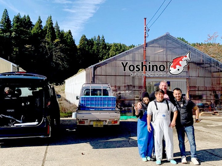 Wiechert doet het weer