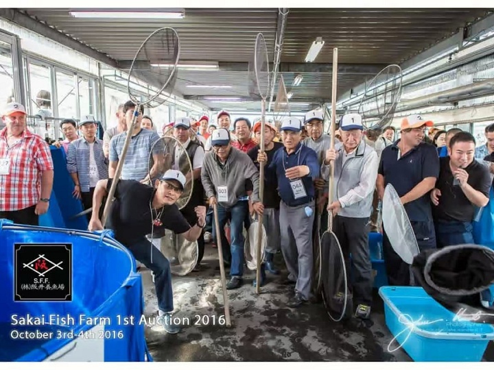 Zonder overdrijving, pure overstelping