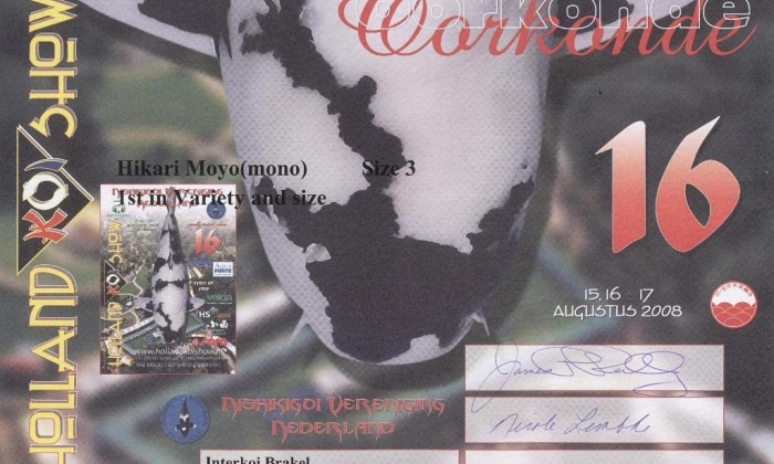 1e prijs hikari moyo (mono) size 3
