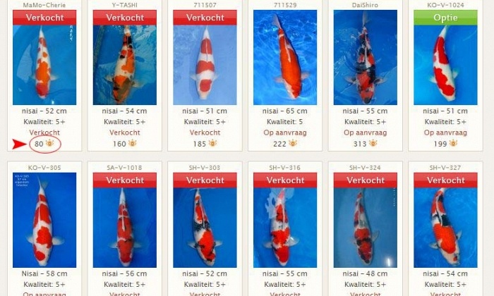 Aanpassingen website
