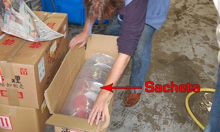 Alfish sachets
