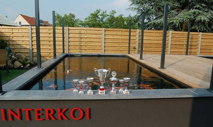 Babychampion Hilvarenbeek