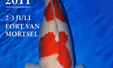 Belgian ZNA koi show