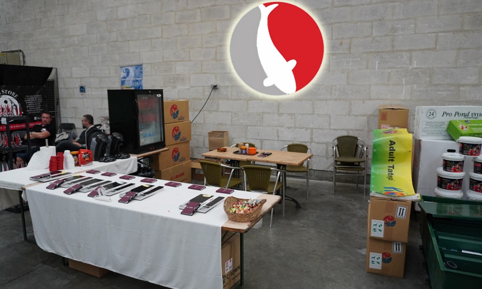 Belgische Koishow - dag 2