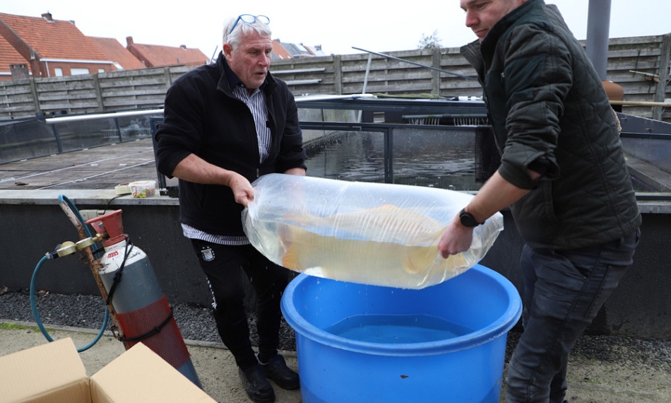 Bijzonder veel animo op deze zaterdag