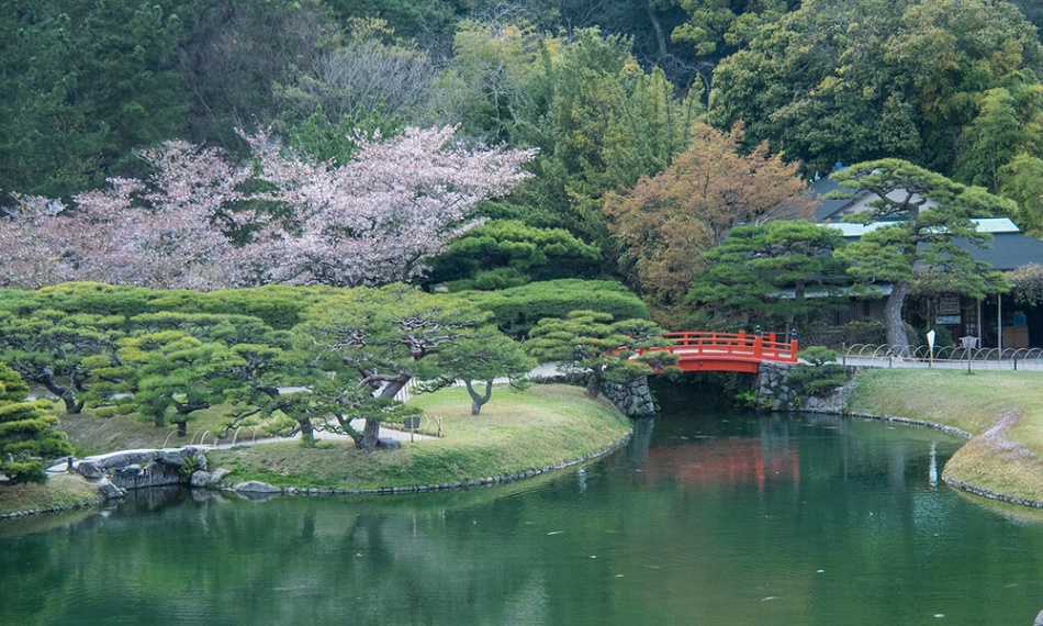 Bonsai en Nishikigoi, een harmonieuze combinatie