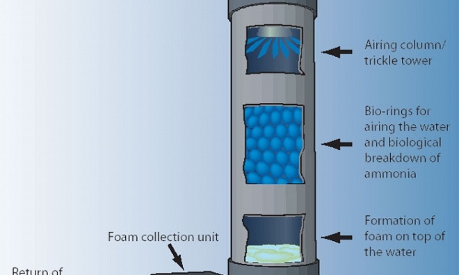 Clarity Proteine Skimmer