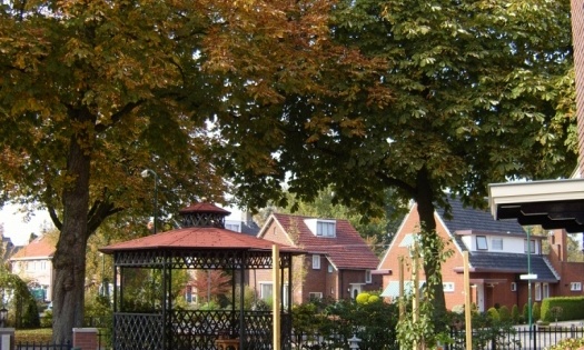 Column van de vrouw van een koi gek. Kastanjebomen
