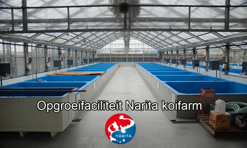 Complimenten zijn atlijd welkom