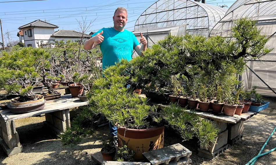 Dag 4, de dag van de bonsai
